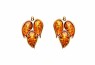 489/EAR2/Z